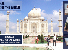 Taj Mahal Video Thumb Picture