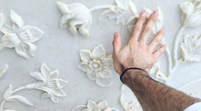 Taj Mahal's White Marble photo